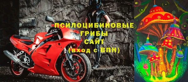 PSILOCYBIN Бугульма