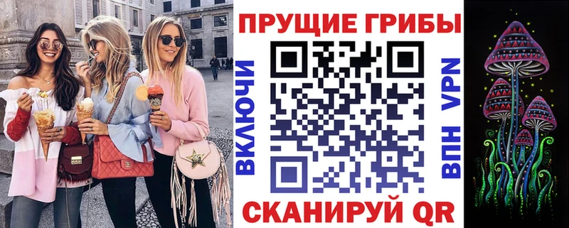 Псилоцибиновые грибы мухоморы  дарнет шоп  Шахунья 