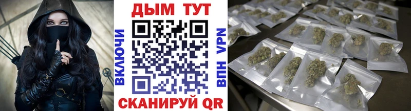 Каннабис план  Шахунья 